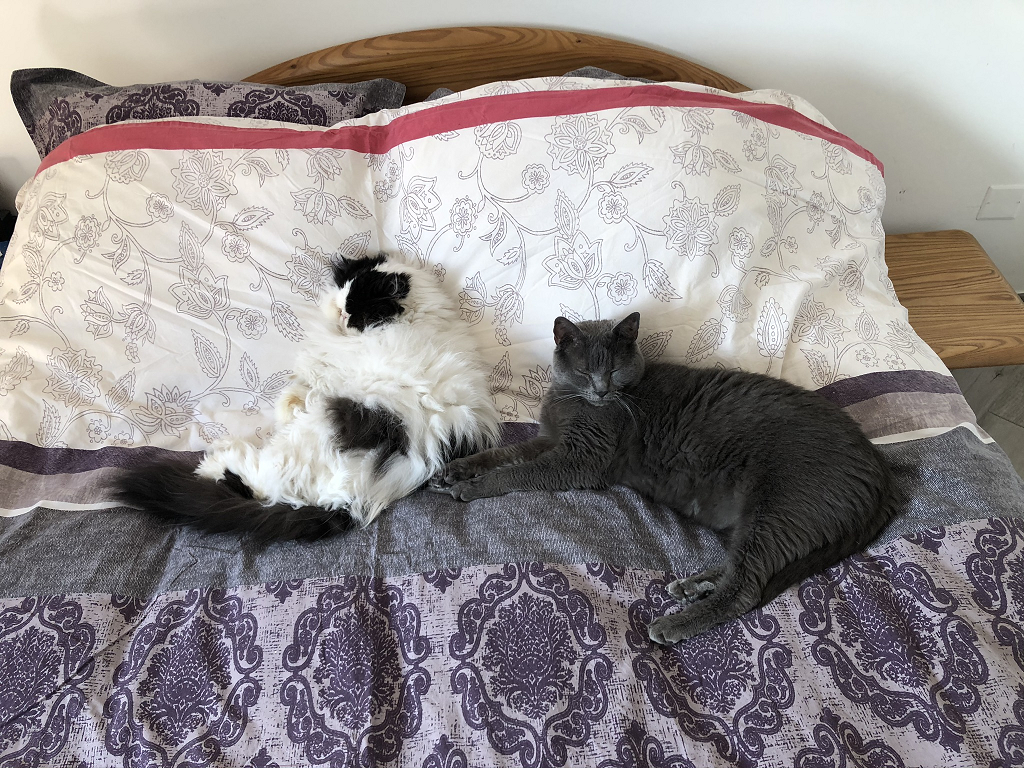 Pas d'place, pas d'place, pas d'place Pas d'place, pas d'place, pas d'place