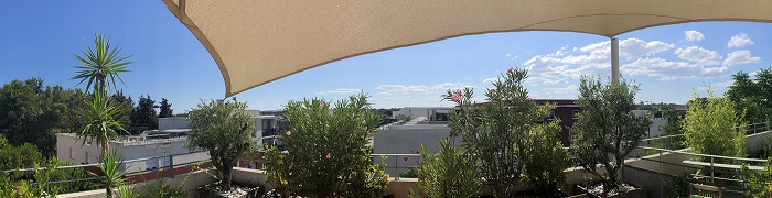 Deux chats et un chien au soleil d'Occitanie